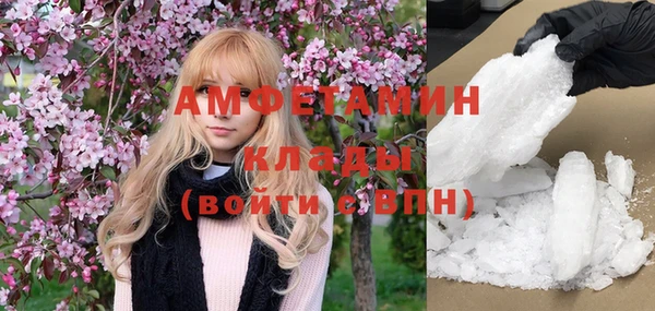 хмурый Алексин