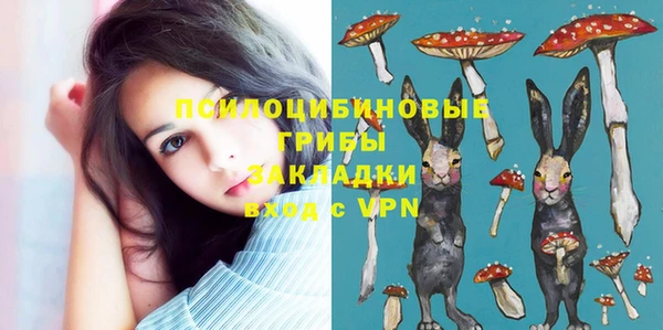 хмурый Алексин